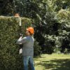 Stihl HA010112910 HLA 56 Cordless Hedge Long Reach Hedge Trimmer, Body Only - Image 4